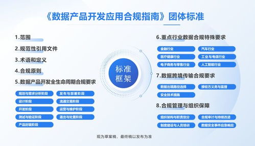 全國首部數(shù)據(jù)產(chǎn)品開發(fā)應(yīng)用合規(guī)標(biāo)準(zhǔn)即將出臺(tái)，信息技術(shù)咨詢服務(wù)助力企業(yè)合規(guī)轉(zhuǎn)型